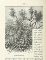 An illustration from Meine zweite Durchquerung Äquatorial-Afrikas vom Congo zum Zambesi während der Jahre 1886 und 1887 ... Mit 92 Abbildungen, etc (1890)