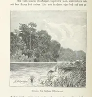 An illustration from Meine zweite Durchquerung Äquatorial-Afrikas vom Congo zum Zambesi während der Jahre 1886 und 1887 ... Mit 92 Abbildungen, etc (1890)