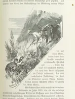 An illustration from Meine zweite Durchquerung Äquatorial-Afrikas vom Congo zum Zambesi während der Jahre 1886 und 1887 ... Mit 92 Abbildungen, etc (1890)
