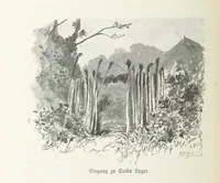 Picture 59 of 98 from Meine zweite Durchquerung Äquatorial-Afrikas vom Congo zum Zambesi während der Jahre 1886 und 1887 ... Mit 92 Abbildungen, etc (1890), leaf 208