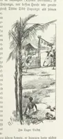 An illustration from Meine zweite Durchquerung Äquatorial-Afrikas vom Congo zum Zambesi während der Jahre 1886 und 1887 ... Mit 92 Abbildungen, etc (1890)