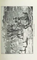 An illustration from Meine zweite Durchquerung Äquatorial-Afrikas vom Congo zum Zambesi während der Jahre 1886 und 1887 ... Mit 92 Abbildungen, etc (1890)