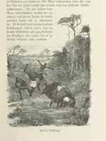 An illustration from Meine zweite Durchquerung Äquatorial-Afrikas vom Congo zum Zambesi während der Jahre 1886 und 1887 ... Mit 92 Abbildungen, etc (1890)