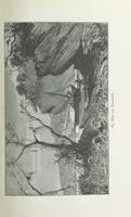 An illustration from Meine zweite Durchquerung Äquatorial-Afrikas vom Congo zum Zambesi während der Jahre 1886 und 1887 ... Mit 92 Abbildungen, etc (1890)