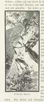 An illustration from Meine zweite Durchquerung Äquatorial-Afrikas vom Congo zum Zambesi während der Jahre 1886 und 1887 ... Mit 92 Abbildungen, etc (1890)