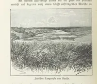 An illustration from Meine zweite Durchquerung Äquatorial-Afrikas vom Congo zum Zambesi während der Jahre 1886 und 1887 ... Mit 92 Abbildungen, etc (1890)