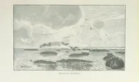 An illustration from Meine zweite Durchquerung Äquatorial-Afrikas vom Congo zum Zambesi während der Jahre 1886 und 1887 ... Mit 92 Abbildungen, etc (1890)