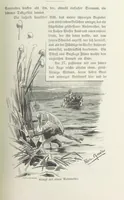 An illustration from Meine zweite Durchquerung Äquatorial-Afrikas vom Congo zum Zambesi während der Jahre 1886 und 1887 ... Mit 92 Abbildungen, etc (1890)