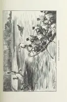 An illustration from Meine zweite Durchquerung Äquatorial-Afrikas vom Congo zum Zambesi während der Jahre 1886 und 1887 ... Mit 92 Abbildungen, etc (1890)