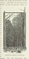 An illustration from Meine zweite Durchquerung Äquatorial-Afrikas vom Congo zum Zambesi während der Jahre 1886 und 1887 ... Mit 92 Abbildungen, etc (1890)