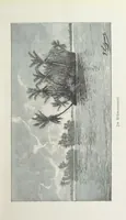An illustration from Meine zweite Durchquerung Äquatorial-Afrikas vom Congo zum Zambesi während der Jahre 1886 und 1887 ... Mit 92 Abbildungen, etc (1890)