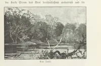 An illustration from Meine zweite Durchquerung Äquatorial-Afrikas vom Congo zum Zambesi während der Jahre 1886 und 1887 ... Mit 92 Abbildungen, etc (1890)