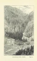 Picture 15 of 43 from In the Black Forest (1882), leaf 147