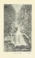 An illustration from In the Black Forest (1882)