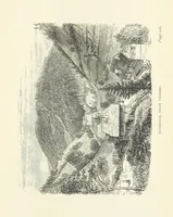 An illustration from In the Black Forest (1882)