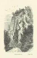 Picture 23 of 43 from In the Black Forest (1882), leaf 217