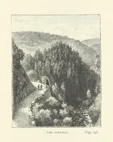Picture 30 of 43 from In the Black Forest (1882), leaf 261