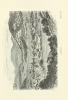 An illustration from In the Black Forest (1882)