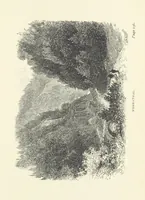 An illustration from In the Black Forest (1882)