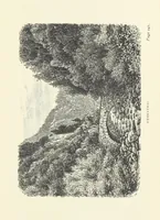 An illustration from In the Black Forest (1882)