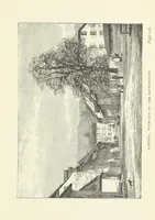 An illustration from In the Black Forest (1882)