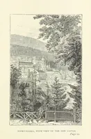 Picture 4 of 43 from In the Black Forest (1882), leaf 37