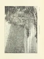 An illustration from In the Black Forest (1882)