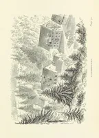 An illustration from In the Black Forest (1882)
