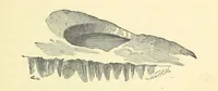 An illustration from The History and Antiquities of Eyam ... Sixth edition. With illustrations from photographs by J. A. Warwick and R. Keene (1870)