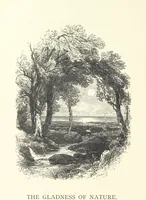 An illustration from Wood-Side and Sea-Side. Illustrated by pen and pencil (1869)