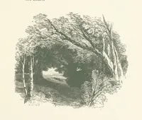 An illustration from Wood-Side and Sea-Side. Illustrated by pen and pencil (1869)