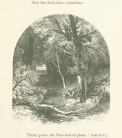 An illustration from Wood-Side and Sea-Side. Illustrated by pen and pencil (1869)