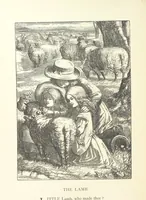 An illustration from Wood-Side and Sea-Side. Illustrated by pen and pencil (1869)