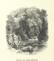 An illustration from Wood-Side and Sea-Side. Illustrated by pen and pencil (1869)