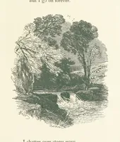 An illustration from Wood-Side and Sea-Side. Illustrated by pen and pencil (1869)