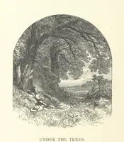 An illustration from Wood-Side and Sea-Side. Illustrated by pen and pencil (1869)