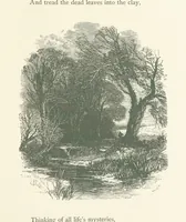 An illustration from Wood-Side and Sea-Side. Illustrated by pen and pencil (1869)