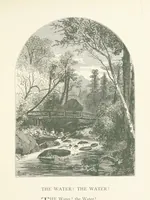 An illustration from Wood-Side and Sea-Side. Illustrated by pen and pencil (1869)