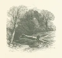 An illustration from Wood-Side and Sea-Side. Illustrated by pen and pencil (1869)