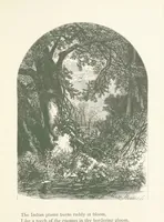 An illustration from Wood-Side and Sea-Side. Illustrated by pen and pencil (1869)