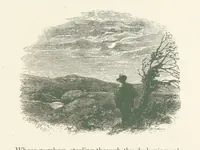 An illustration from Wood-Side and Sea-Side. Illustrated by pen and pencil (1869)
