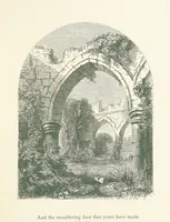 An illustration from Wood-Side and Sea-Side. Illustrated by pen and pencil (1869)