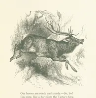 An illustration from Wood-Side and Sea-Side. Illustrated by pen and pencil (1869)
