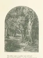 An illustration from Wood-Side and Sea-Side. Illustrated by pen and pencil (1869)