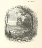 An illustration from Wood-Side and Sea-Side. Illustrated by pen and pencil (1869)