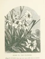An illustration from Wood-Side and Sea-Side. Illustrated by pen and pencil (1869)