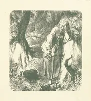An illustration from Wood-Side and Sea-Side. Illustrated by pen and pencil (1869)