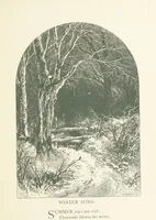 An illustration from Wood-Side and Sea-Side. Illustrated by pen and pencil (1869)