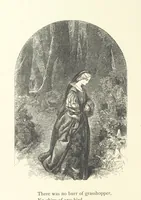 An illustration from Wood-Side and Sea-Side. Illustrated by pen and pencil (1869)