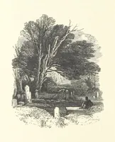 An illustration from Wood-Side and Sea-Side. Illustrated by pen and pencil (1869)